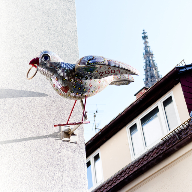 Luxury Sparrow II - ID 011944