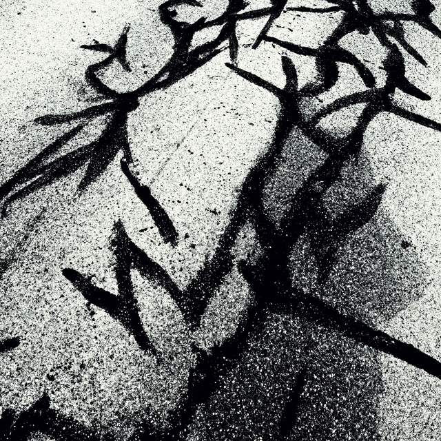 Steet Cracks Repaired VI - ID 011966