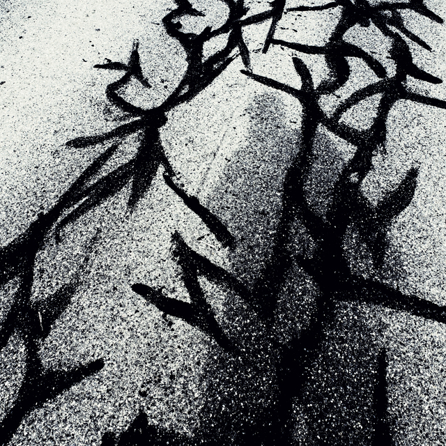 Steet Cracks Repaired VII - ID 011967