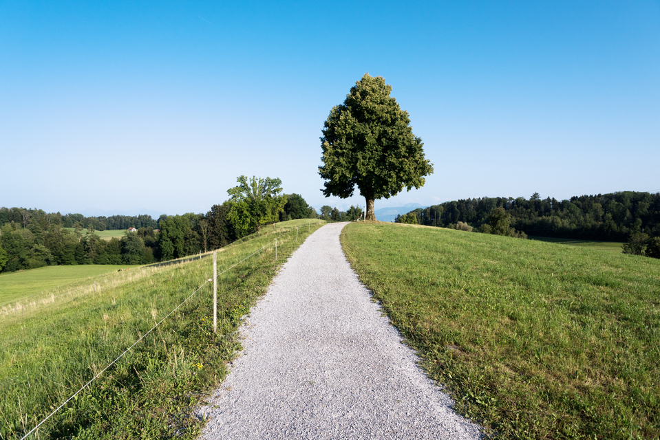 Linde II - ID 011972