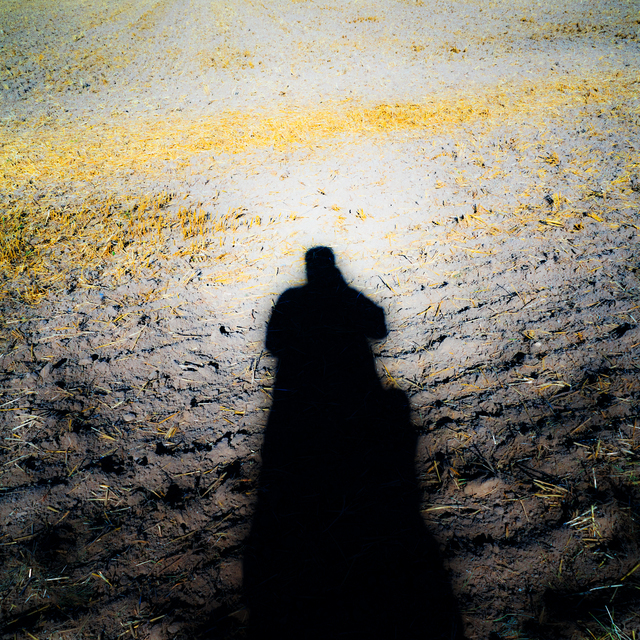 Empty Field - ID 011994