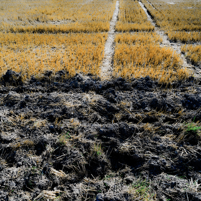 Partly Plowed - ID 011995