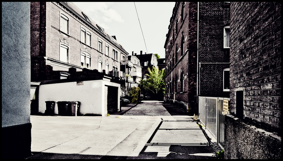 Backyard - ID 012125