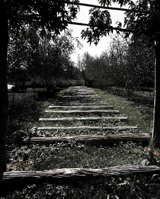 Wood Path I - ID 012144