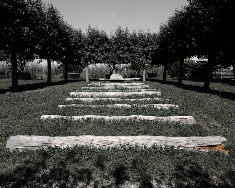 Wood Path III - ID 012146