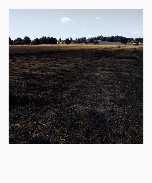 Darkness in Forground I - ID 012149