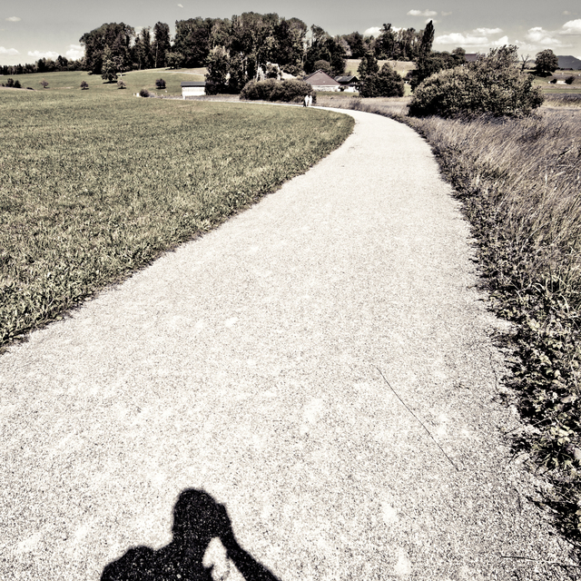 Curved Path I - ID 012154