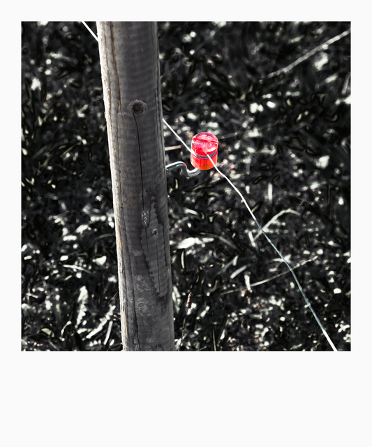 Electric Fence - ID 012169