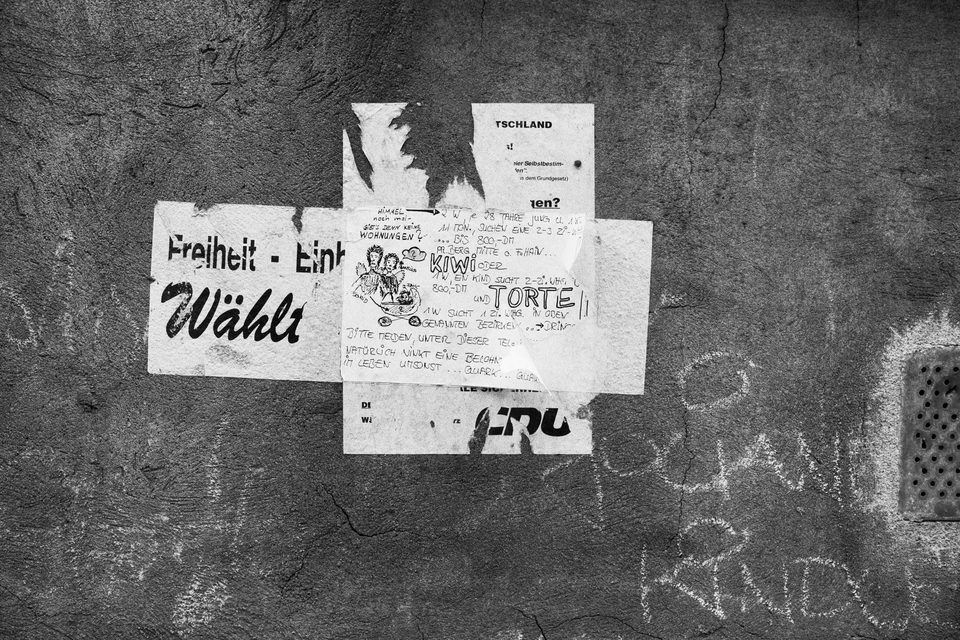 Freiheit Waehlt KIWI TORTE - ID 012185