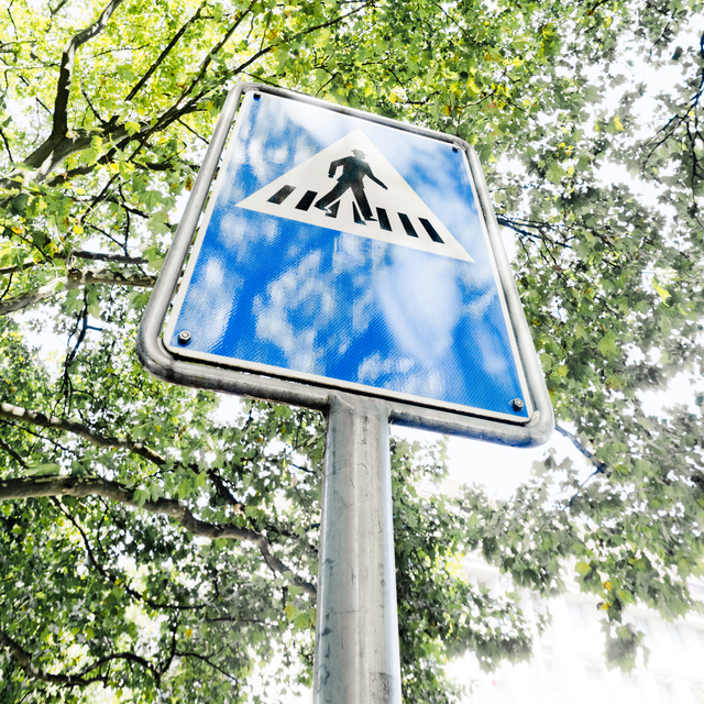 Skywalker - ID 012290