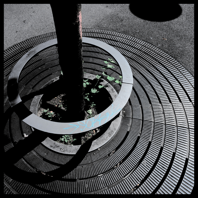 Last Green II - ID 012299