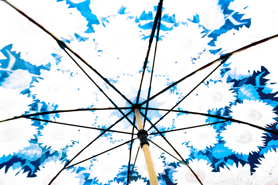 Umbrella - ID 012364