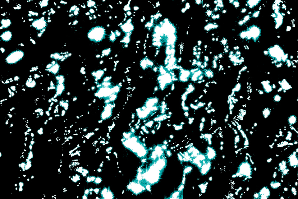 Dark Water - ID 012389