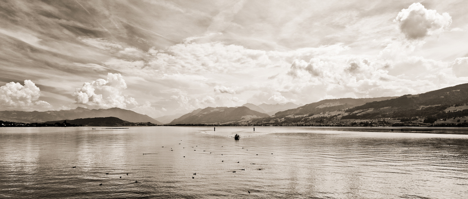 Lake Zurich - ID 012561