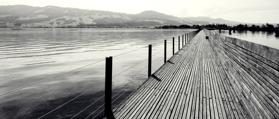 Lake Zurich Footbridge - ID 012562