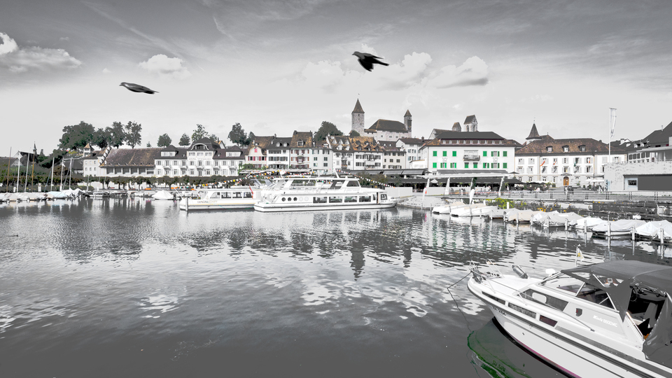 Rapperswil Haven - ID 012593