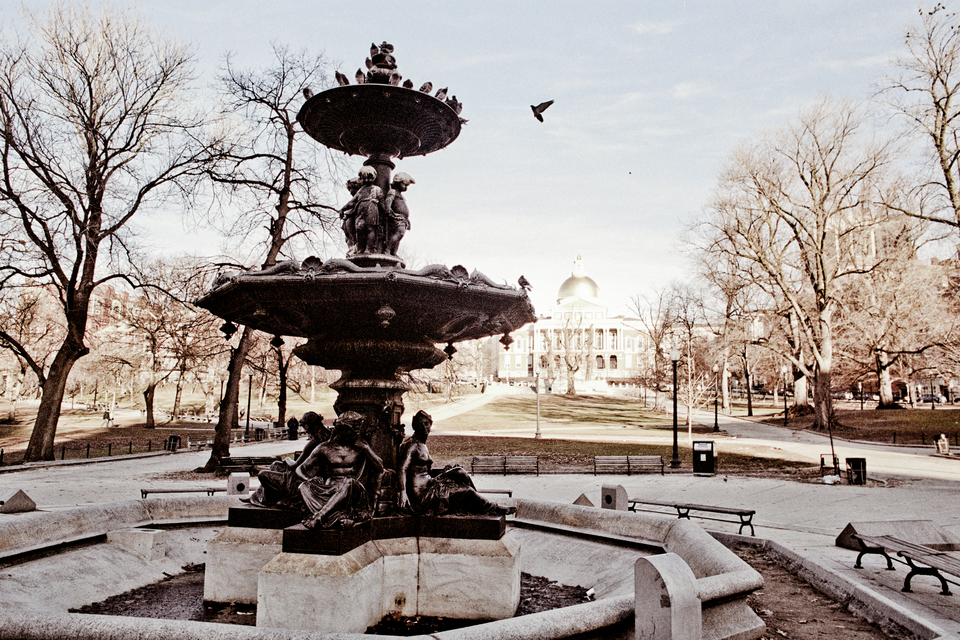 Boston Walk IV - ID 012641