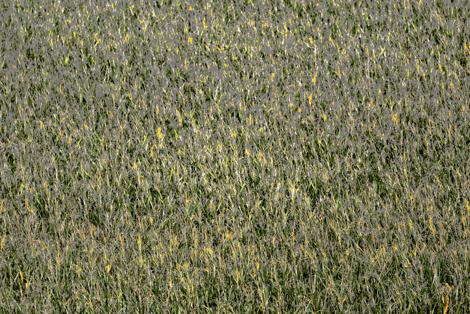 Field from Distance I - ID 012671