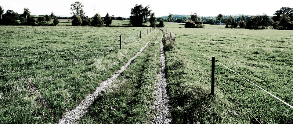 Farm Track - ID 012677