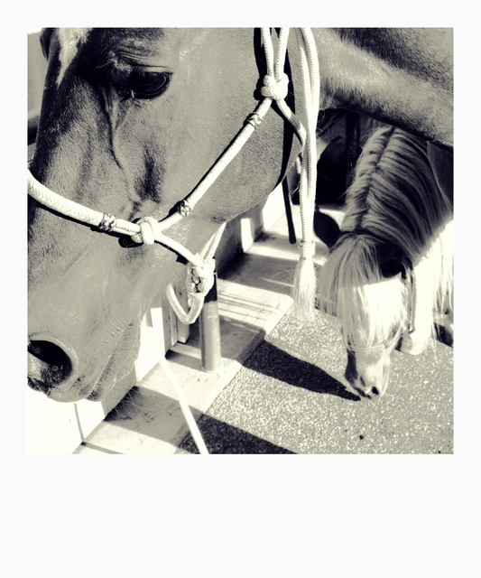 Two Friends I - ID 012683