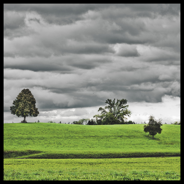 Grey Over Green - ID 012690