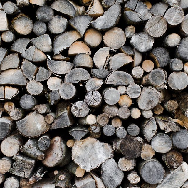 Wood Pile I - ID 012716