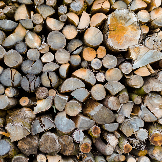 Wood Pile III - ID 012718