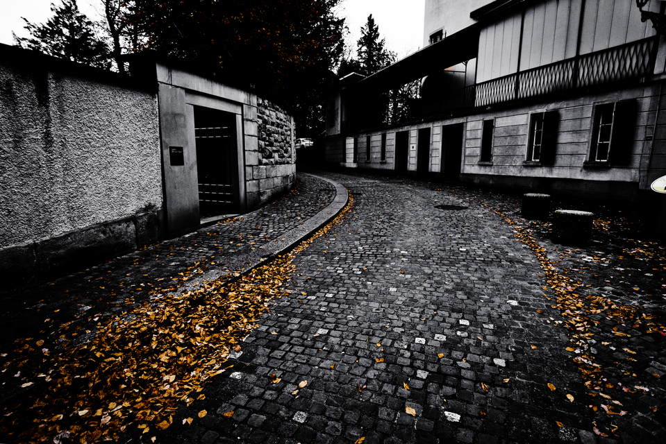 Curved Street in Zurich - ID 012772