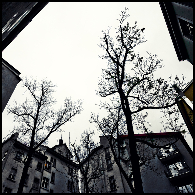 Zurich Yard - ID 012846