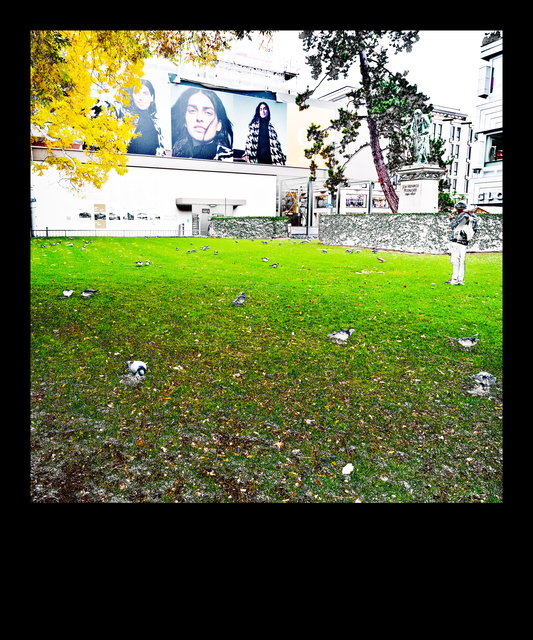 Green in Zurich - ID 012858