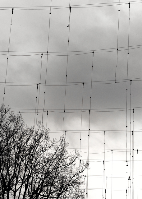 Zurich No Light and Trees - ID 012880