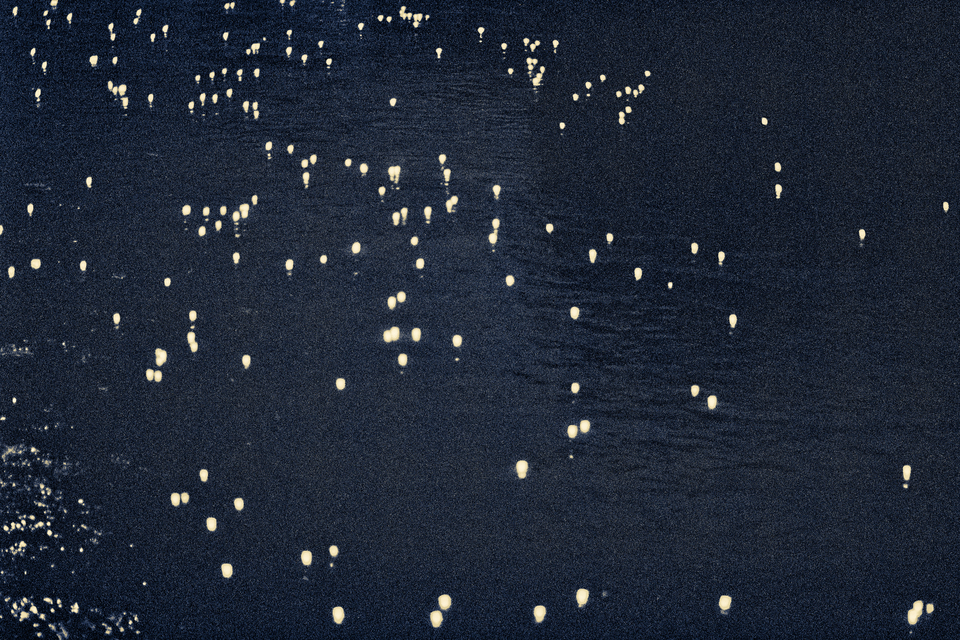 Serenade of Lights VI - ID 012925