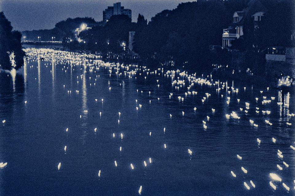 Serenade of Lights X - ID 012929