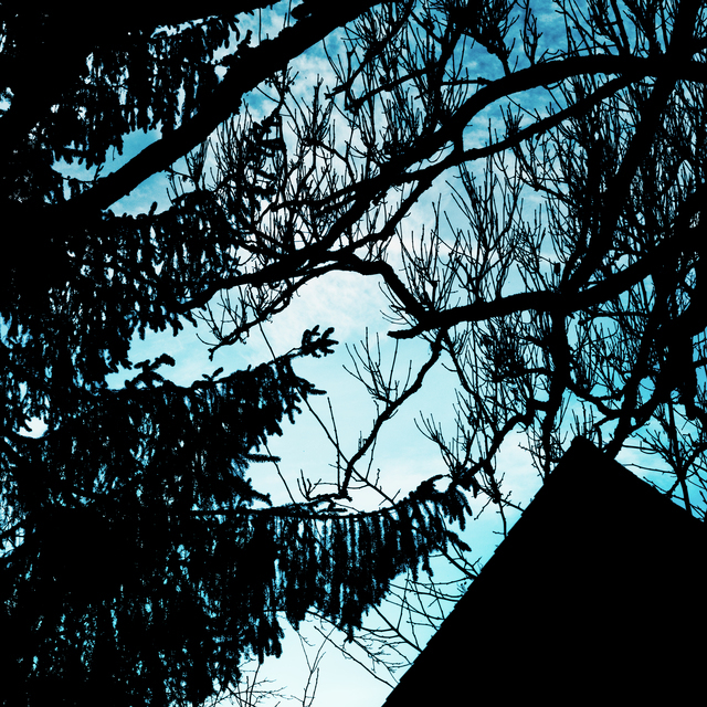 Mystic Scene - ID 013009