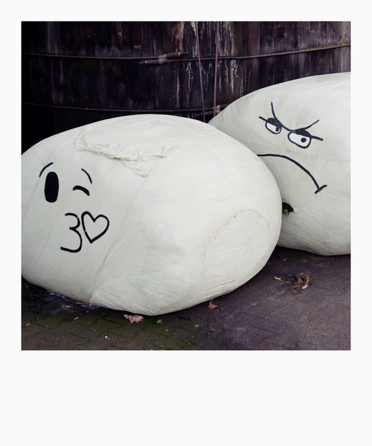 At the Barn - ID 013050