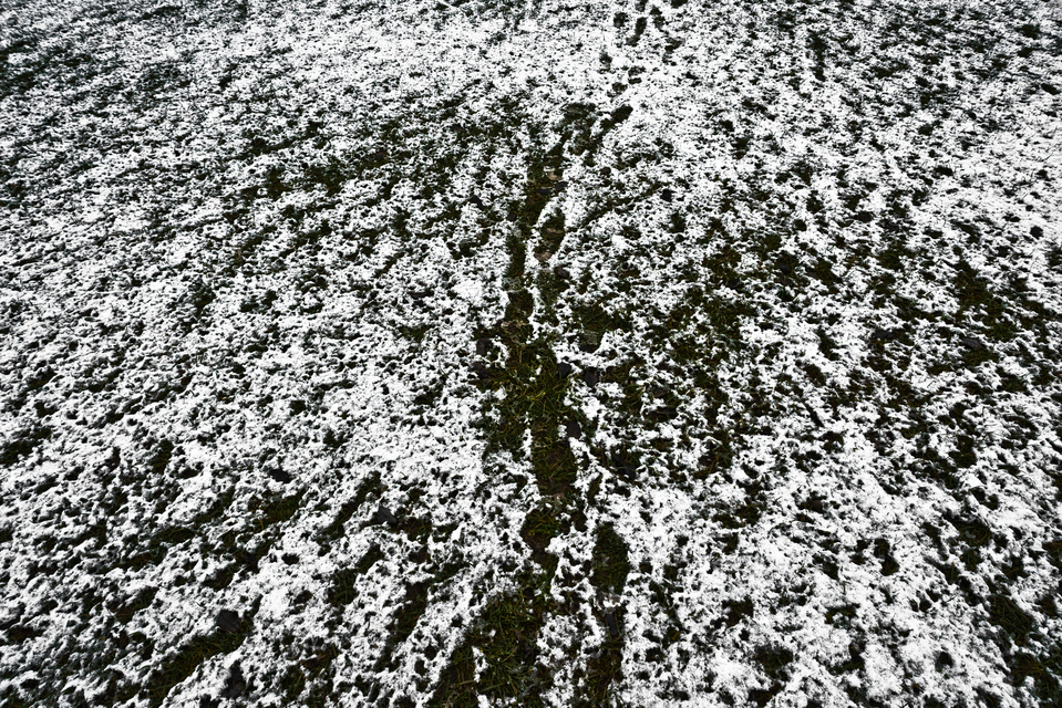 Footsteps - ID 013070