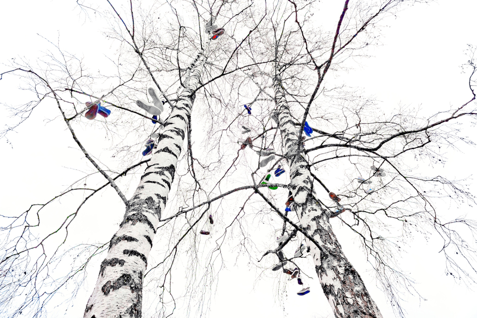 Shoe Tree III - ID 013090