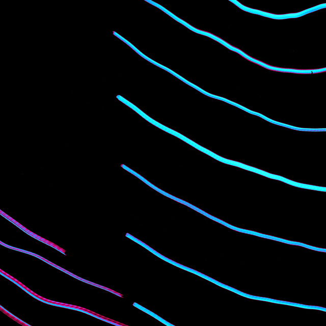 Lightstripes II - ID 013123