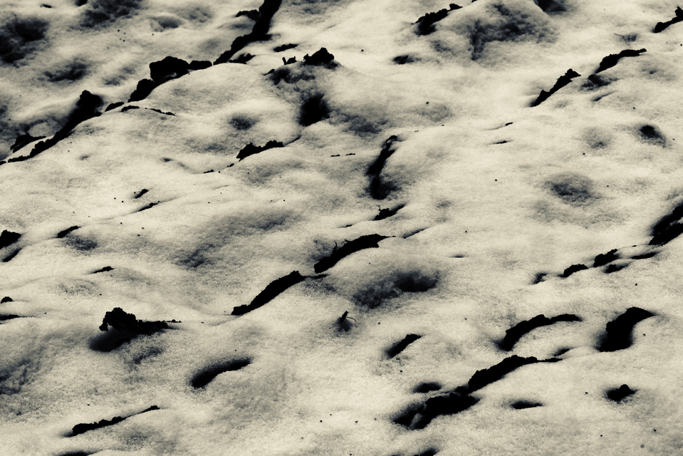 Dirt Snow I - ID 013126