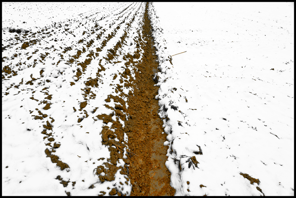 Snow on Empty Fields - ID 013132