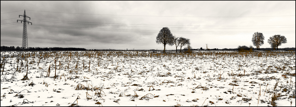 Winter Scenery - ID 013137