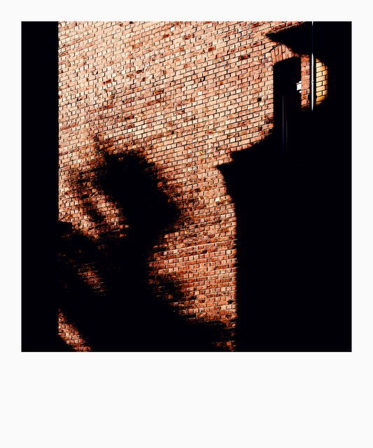 Shadow Play on Brick Wall IV - ID 013171