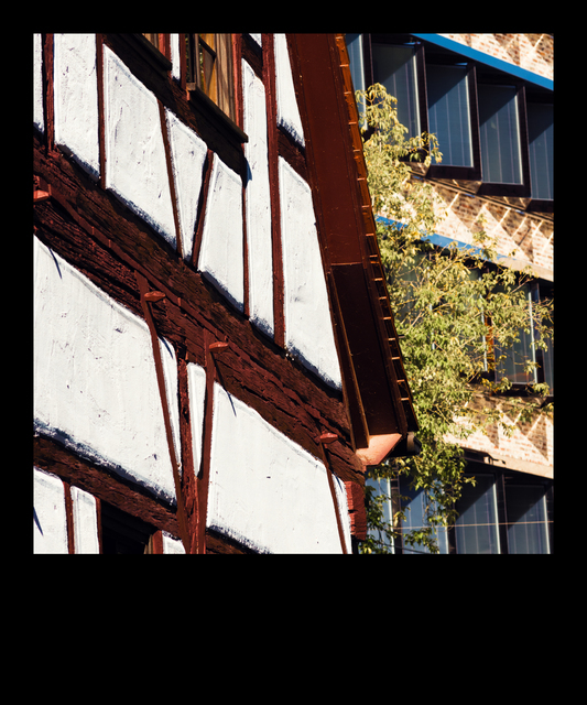 Fishing District Detail I - ID 013182