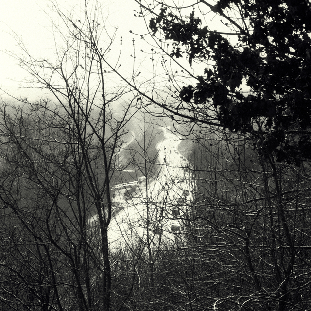 Double S Street behind Trees - ID 013193