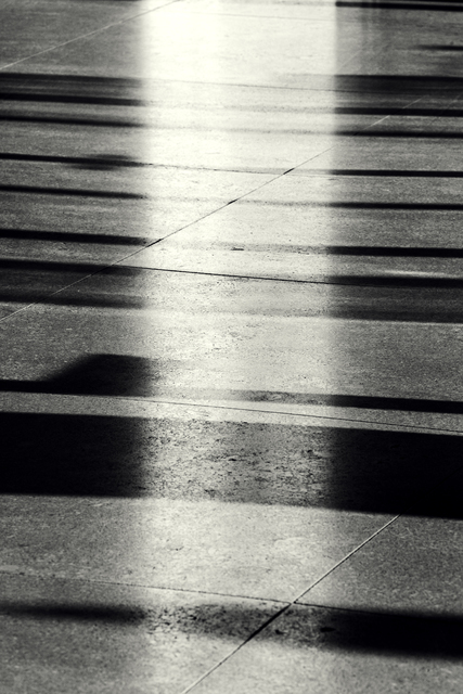 Shadows and Light Crossing I - ID 013283