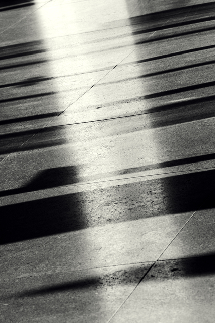 Shadows and Light Crossing II - ID 013284