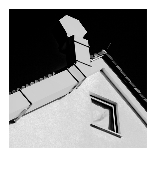 Discharge Shaft - ID 013312