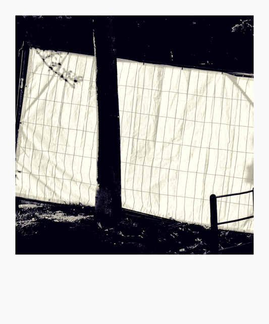 Blinds in the Sun - ID 013355