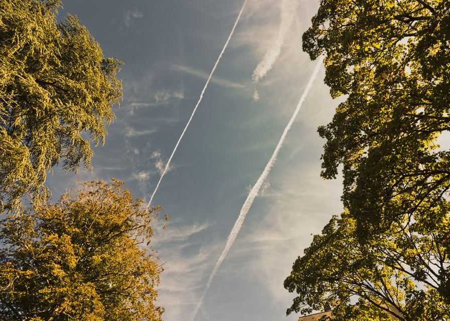 Two Scratches - ID 013369