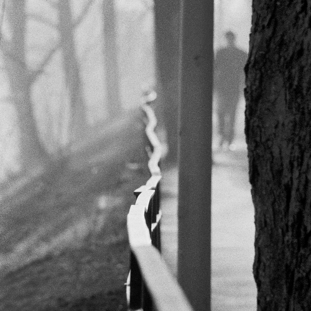 At the Danube I - ID 013479